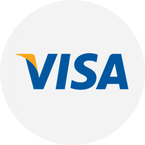Pay with Visa footer
