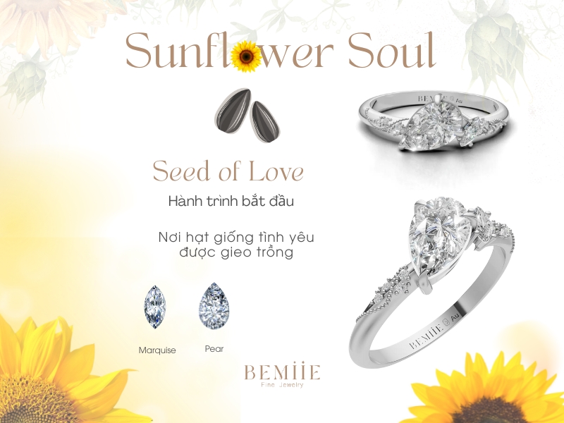 Giai đoạn hạt giống - nhẫn hoa hướng dương